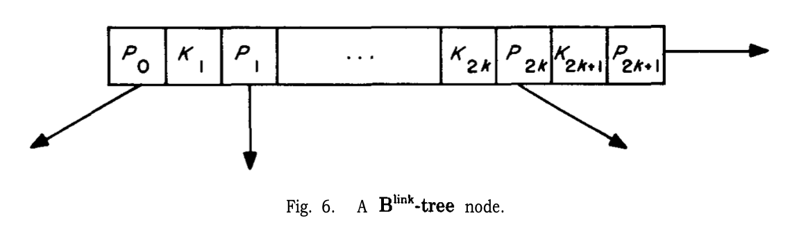 YAO6